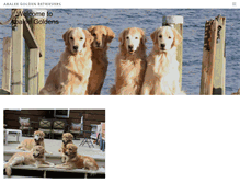 Tablet Screenshot of abaleegoldens.com